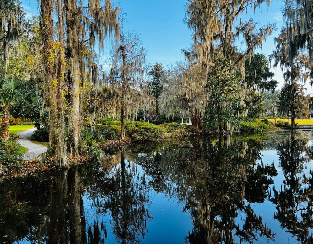 Magnolia Plantations Charleston SC