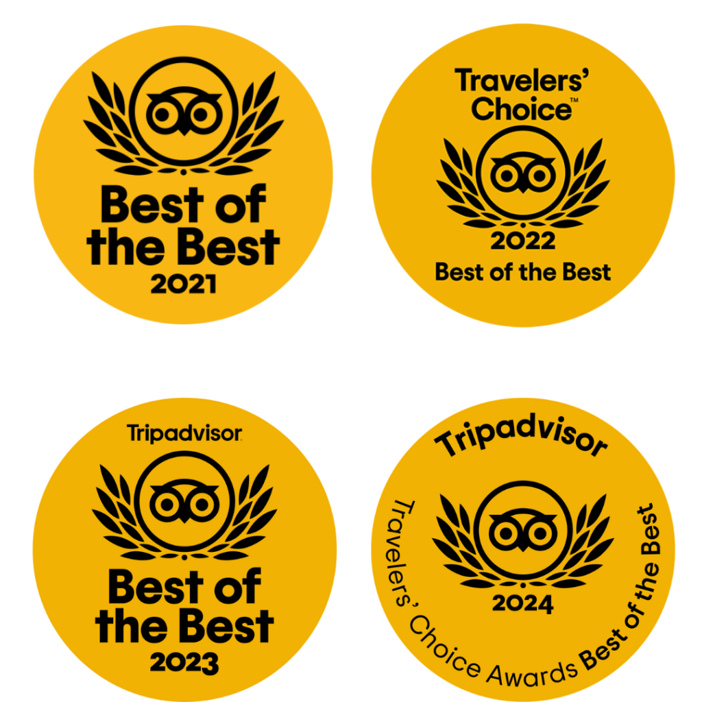 tripadvisors travelers choice best of the best blue life charters