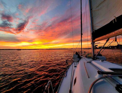 Picture Perfect Your Guide to Charleston’s Most Beautiful Harbor Cruises