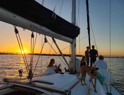 Unforgettable Views: What to Expect on a Charleston Harbor Tour