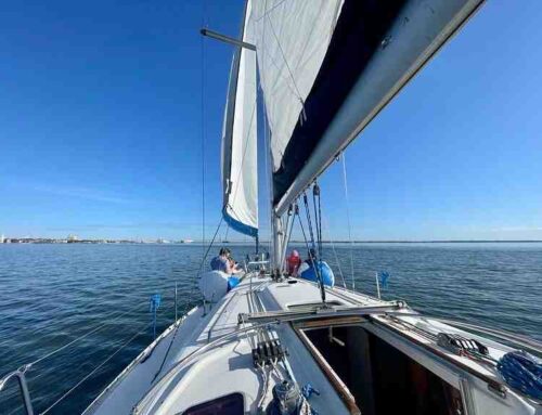 The Great Charter Debate: Demise vs. Bareboat Explained