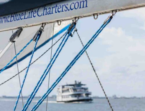 From Luxury to Leisure: Discovering Charleston’s Premier Boat Charter Services