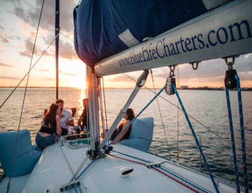 Your Wallet’s Voyage: A Guide to Private Cruise Pricing